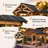 12 ft. W x 10 ft. D Outdoor Cedar Wood Gazebo with Metal Steel Gable Roof For Garden, Porch, Patio