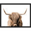 "Portrait de vache Shetland brune et blanche à deux tons" sur papier-98265845-98265847