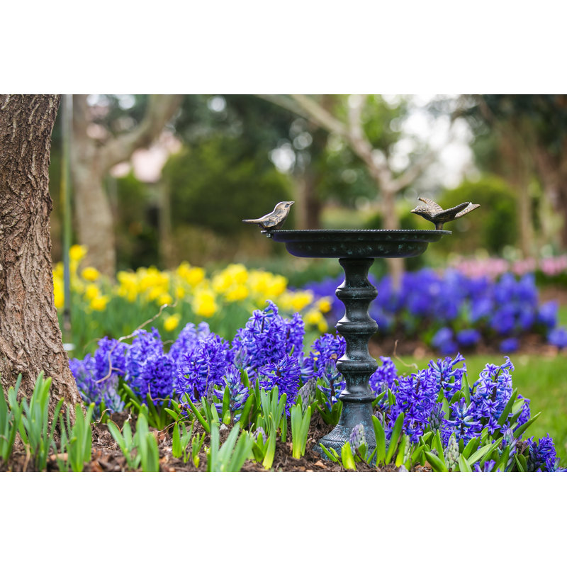 Cast Iron Pedestal Birdbath