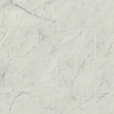 12"" x 24"" Porcelain Field Tile in Bianco Carrara -  Bedrosians, STPCL2BIC1224