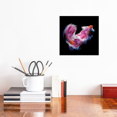 Bettafish Dance Motion 1 Piece Wrapped Canvas Painting