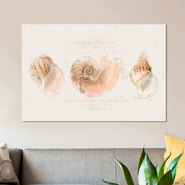 «Shell Collector I», reproduction d'impression sur toile tendue, H 12 po x l 18 po x P 1,5 po, Toile tendue, Pas de tapis