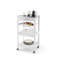 4 Tier Plant Stand