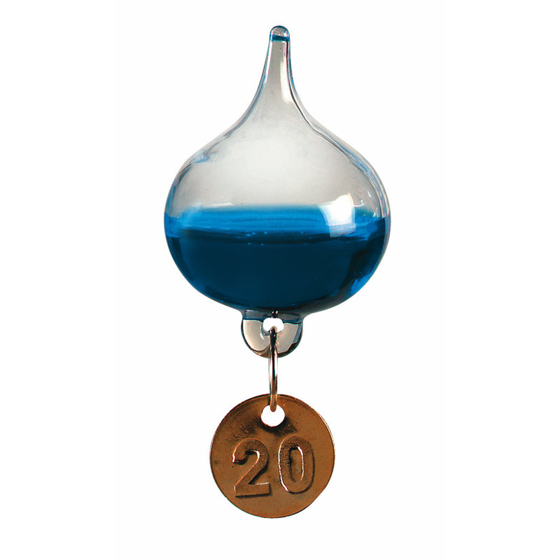 Ragnar 28.5cm Wireless Thermometer