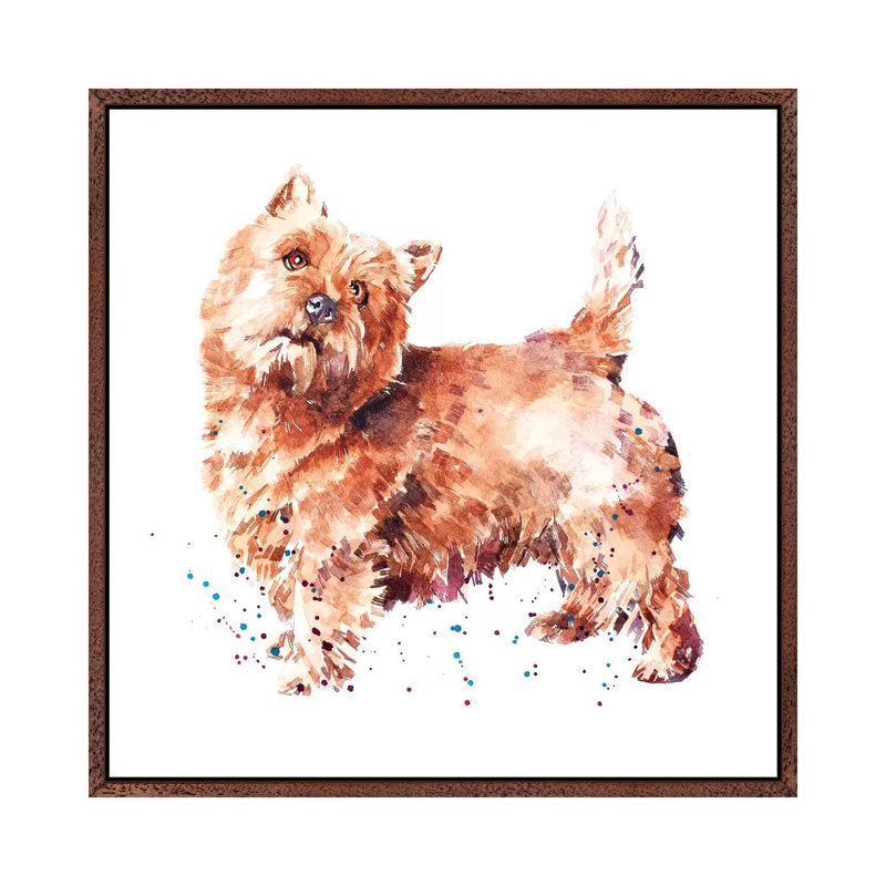 Norwich Terrier - Painting on Canvas, 45.72 cm H x 45.72 cm W, Classic Brown Wood Framed