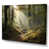 Toile tendue