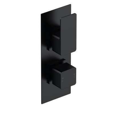 Twin Concealed Thermostatic Shower Valve