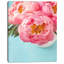 Bouquet de lumières rose pivoine fleurs-impression-505266427-516172891