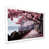White Single Picture Framed