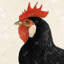 Beautiful Black Hen Canvas - Farm Animal Kitchen Decor
