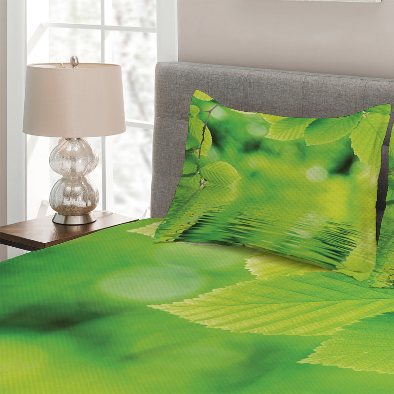 Farmhouse / Country Polyester Coverlet