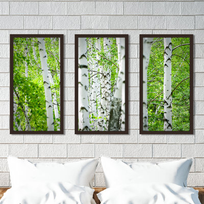 Birch Trees I - Ensemble de 3 reproductions de photos sur acrylique