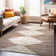Beige Brown Geometric Stripe Area Rug
