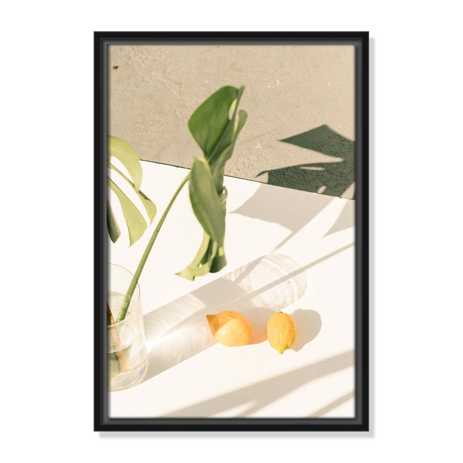 Citrus and Palms Print, 19.5'' H x 13.5'' W x 2'' D, Black Framed