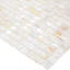 12" x 12" Seashell Grid Mosaic Wall & Floor Tile-61178488