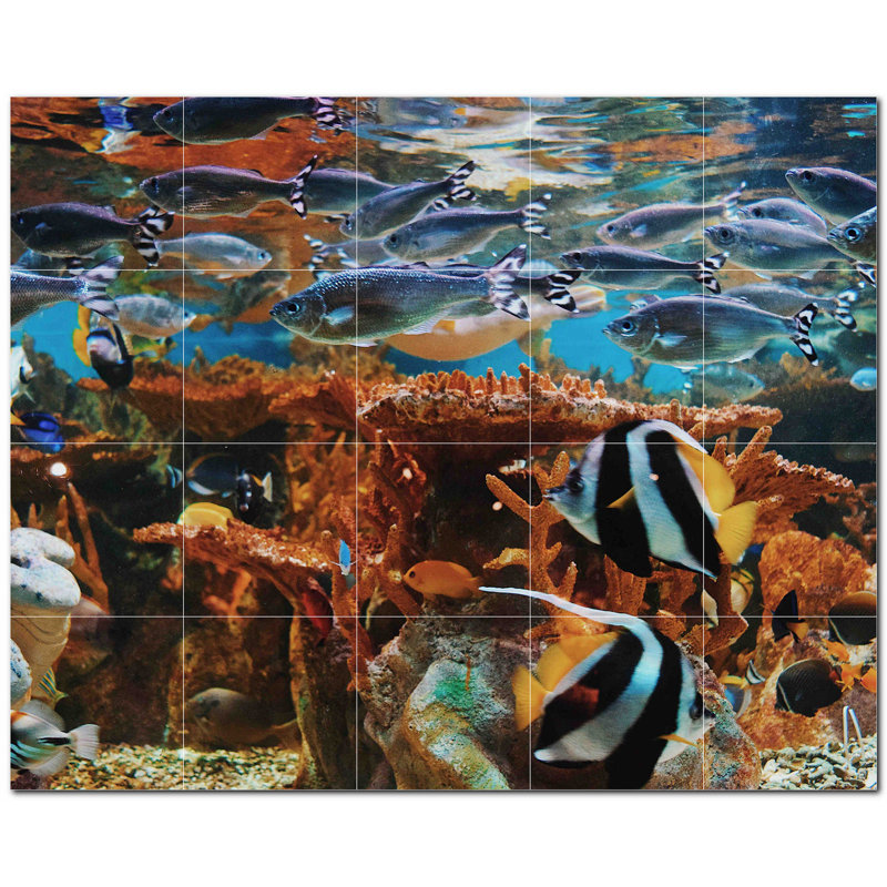 Corail photo 12 x 12