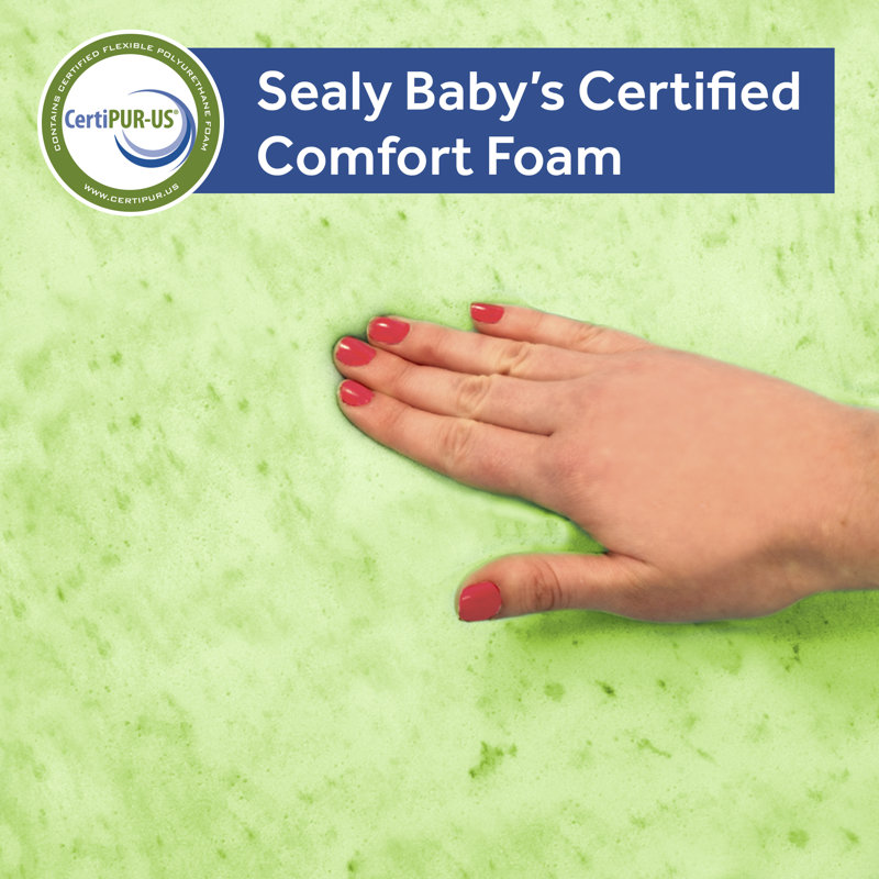 Sustainably Sourced 52.5" Hybrid Memory Foam & Innerspring Toddler Mattress