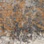 Tangra Area Rug-55796040