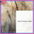 Dragonfly Rhaegan Shower Curtain-914931339