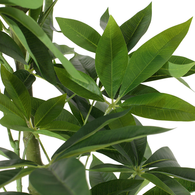 160CM ARTIFICIAL PACHIRA MACROCARPA