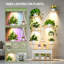 Plant Stand-477243285