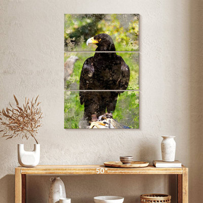 Brampt Majestic Black Eagle