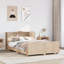 Dollman Bed-59927384-58417000