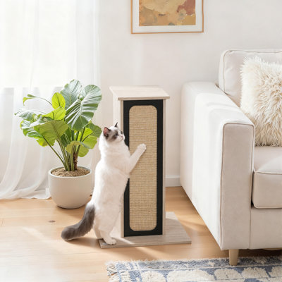 63cm Cat Scratching Post Scratcher with Replaceable Scratching Board