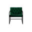 Élégant fauteuil à oreilles, vert, 27,6 po x 29,1 po x 29,5 po | Cadre 100% métal avec pieds en métal | Tissu doux 100% Babyface, hauteur du siège: 18,1 pouces, profondeur du siège: 20,5 pouces, largeur du siège: 26,0 pouces | Parfait pour le salon et la décoration-797212067