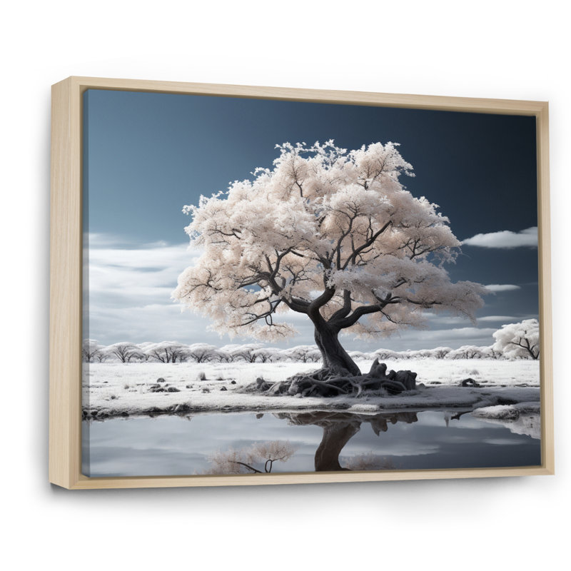 White Tree Arboretum Landscape I - Landscape Trees Canvas Prints, Cadre naturel flottant, H 12 po x l 20 po x P 1 po