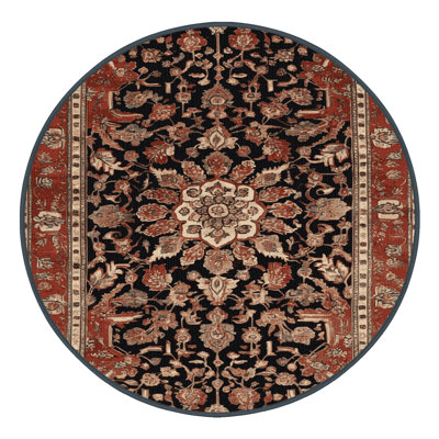 Machine Washable Persian Brown Area Rug