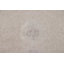 Tapis traditionnel traditionnel en soie 6 x 10