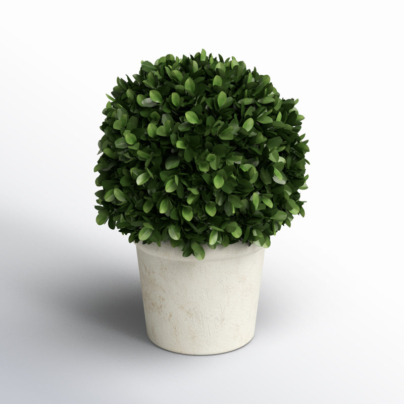 Preserved Greens Ball in Pot, Medium