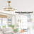 30" Modern Gold Dimmable Caged Chandelier Ceiling Fan with LED Lights and Remote Control