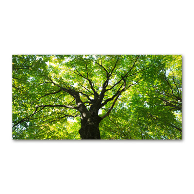 Green Forest - Print