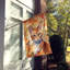 Chat en feuilles d'automne-112700518