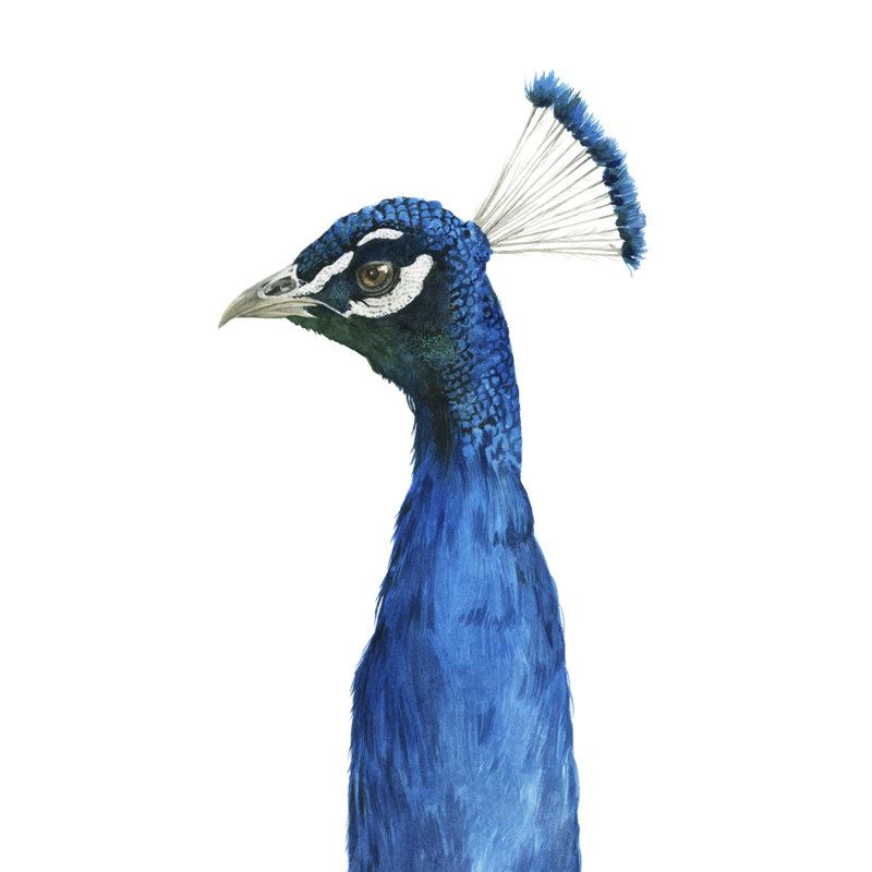 Peacock Portrait II - Painting, 122 cm H x 81 cm W, Wrapped Canvas