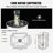 Dionel Beekeeping Honey Production Tool
