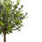 54 " H Faux Olive Tree