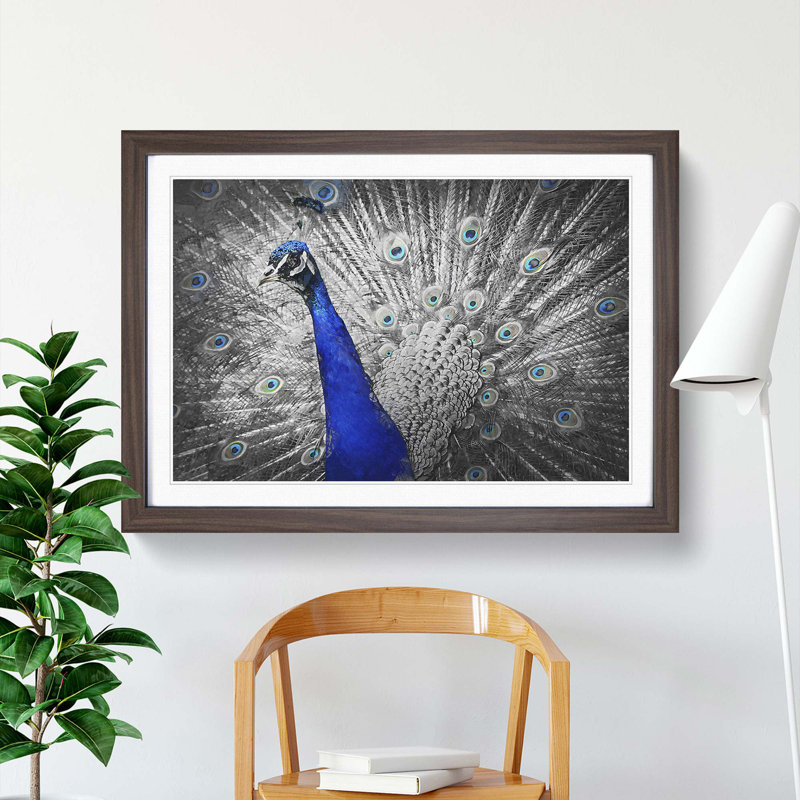 Peacock with Its Feathers Spread - Picture Frame Graphic Art Print on MDF, 36cm H x 48cm W x 2cm D, Walnut Framed