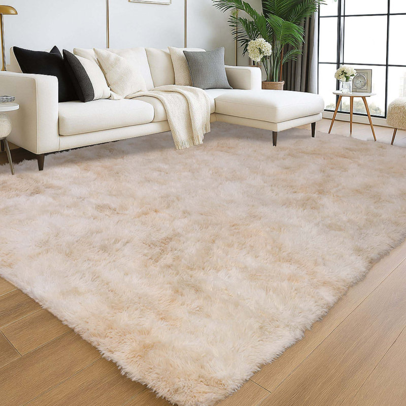 Adela Standard Shag Area Rug, Rectangle 50 x 80 cm