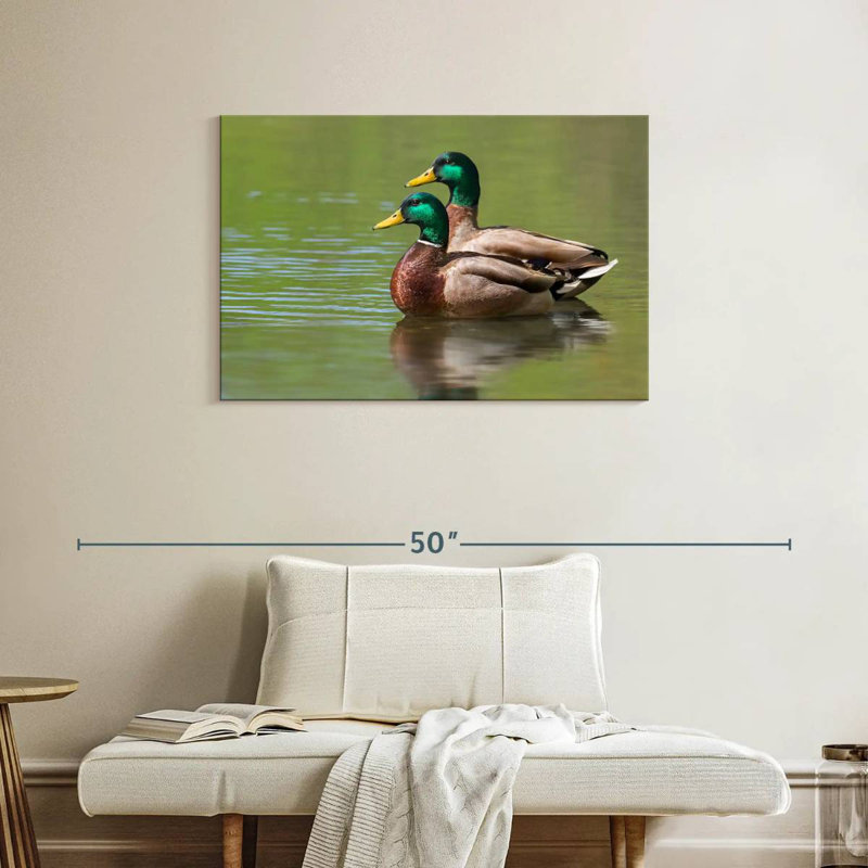 Couple de canards colverts Brampt, H 24 po x l 36 po