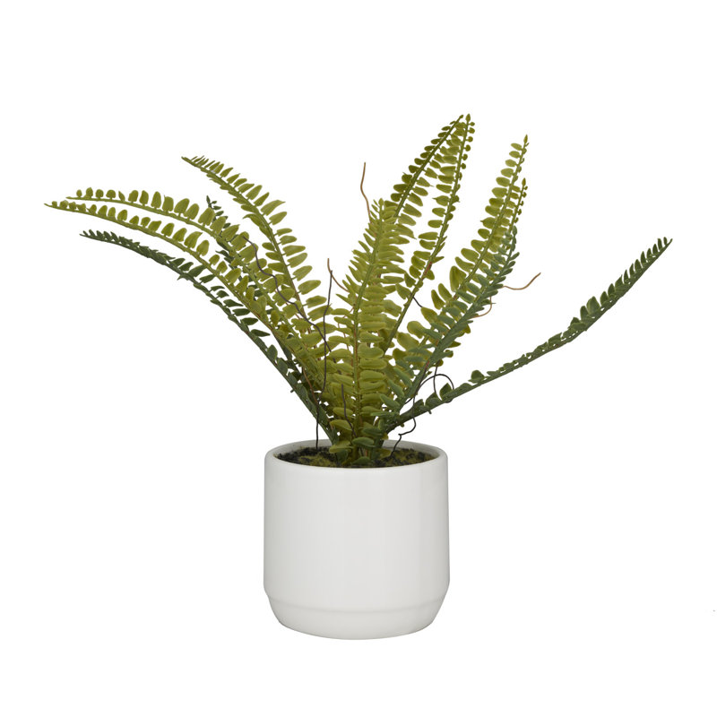 Plante à feuillage artificiel 12,15 po en pot