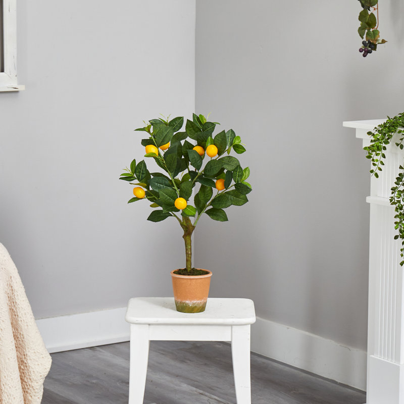 24" Faux Lemon Tree in Weathered Terra-Cotta Planter