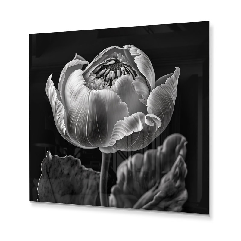 Gros plan sur une tulipe noire et blanche IV - fleur de tulipe murale en métal - MT81284, H 36 po x l 36 po x P 1 po