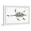 Exley Elasmosaurus Skeleton - Single Picture Frame Painting-37753583