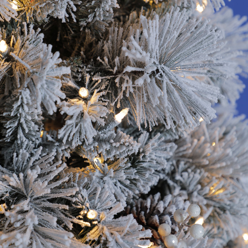 78' Lighted Spruce Christmas Tree