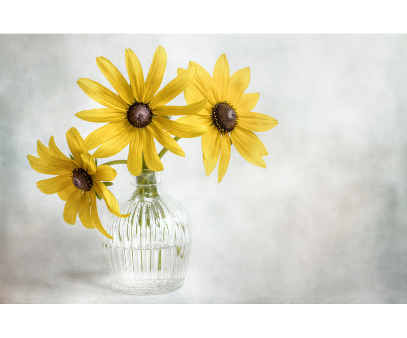Wrapped Canvas Print, 50.8 cm H x 76.2 cm W
