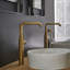 Essence New Widespread Bathroom Faucet with Drain Assembly-422569