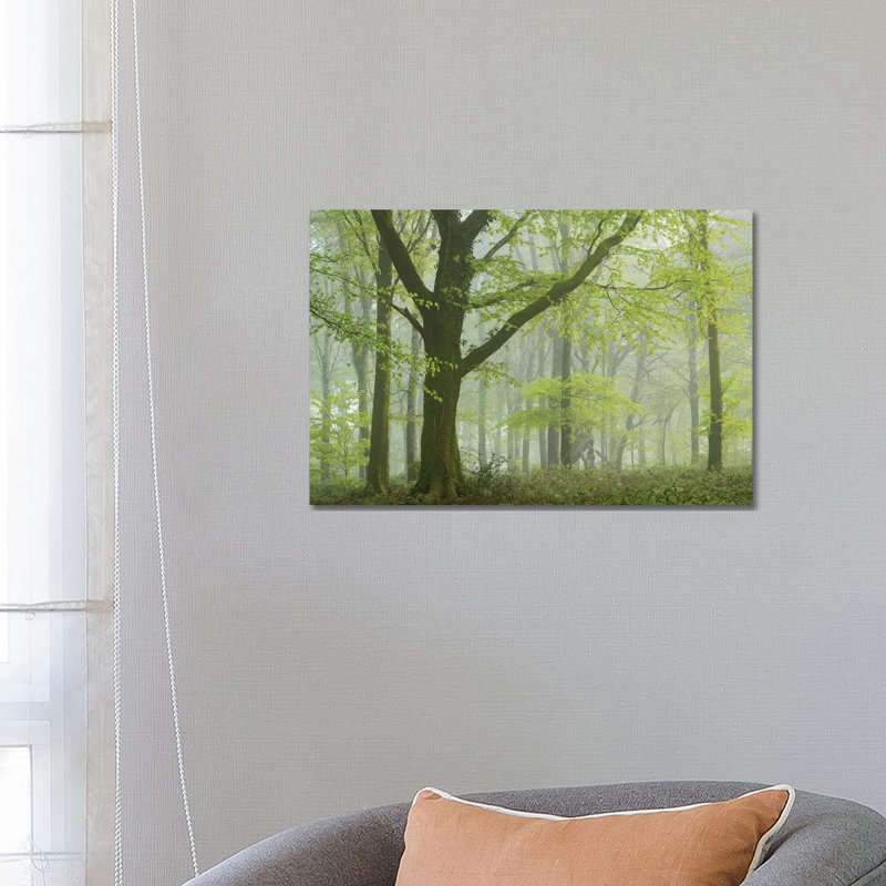 Spring Woodland III by Adam Burton - Wrapped Canvas Print, 66.04 cm H x 45.72 cm W x 1.91 cm D